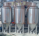 biochemical-fermenter-manufacturer